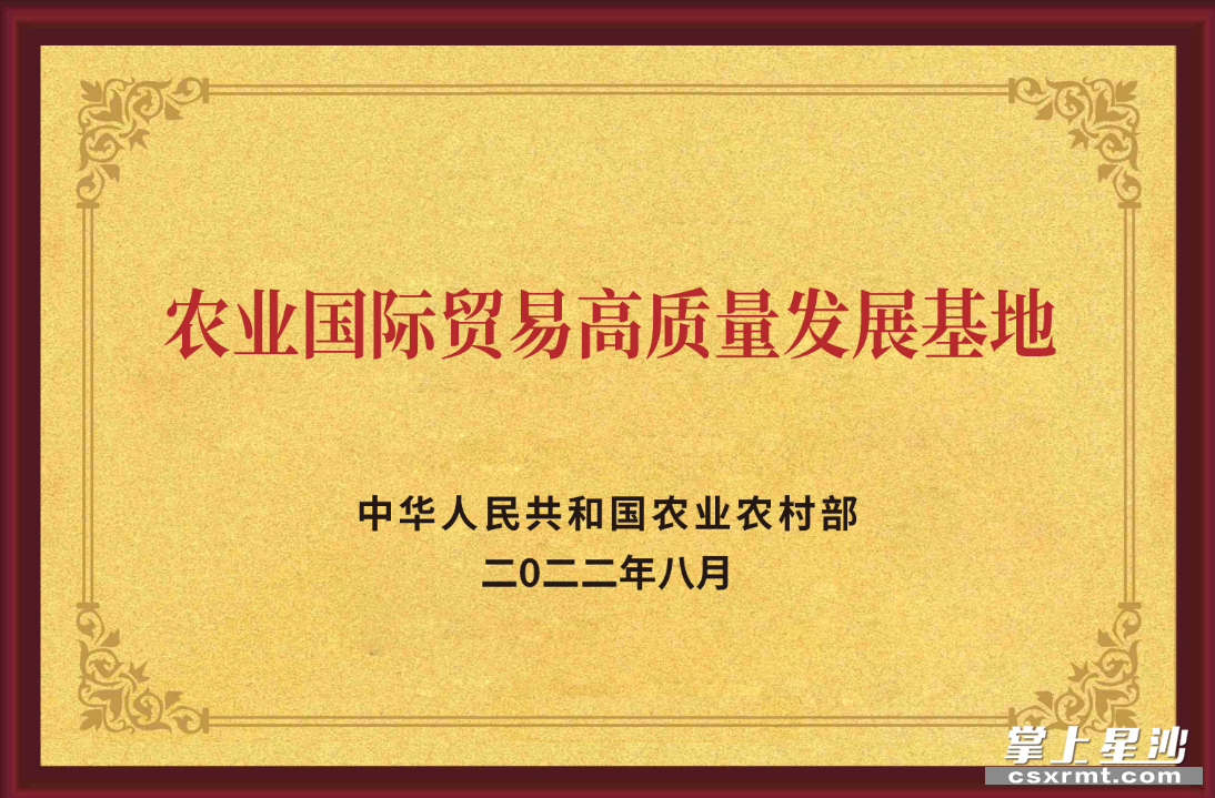 長沙縣湘豐茶業集團為湖南省茶葉行業唯一獲“國家級農業國際貿易高質量發展基地”認定的生產、加工、貿易復合型民營企業。均為集團供圖