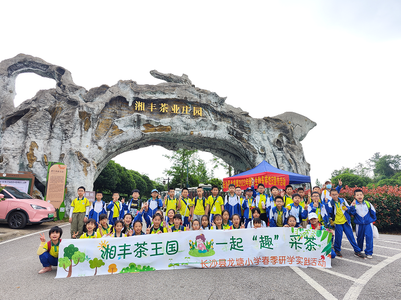 “湘豐茶業莊園游客持續暴漲”第九屆茶文化旅游節后迎來第一波高峰！